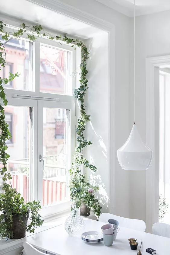 1575598944798389.jpg 9.jpg