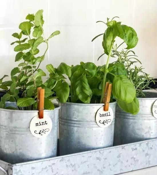 1575599772684049.jpg 2.jpg