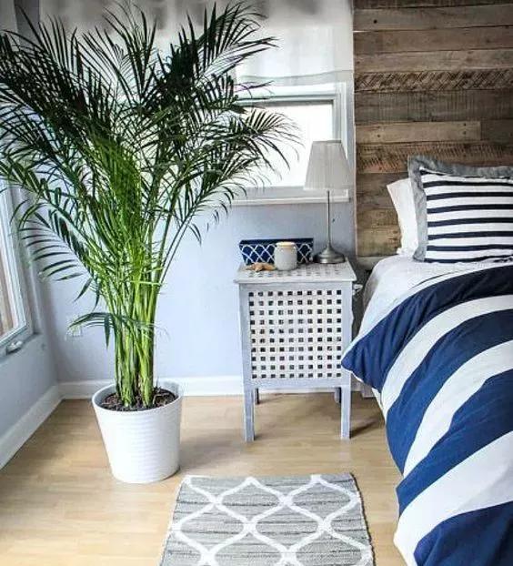 1575599786621064.jpg 5.jpg