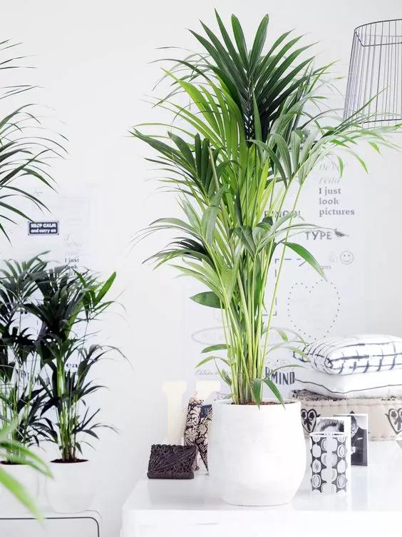 1575599792167616.jpg 6.jpg