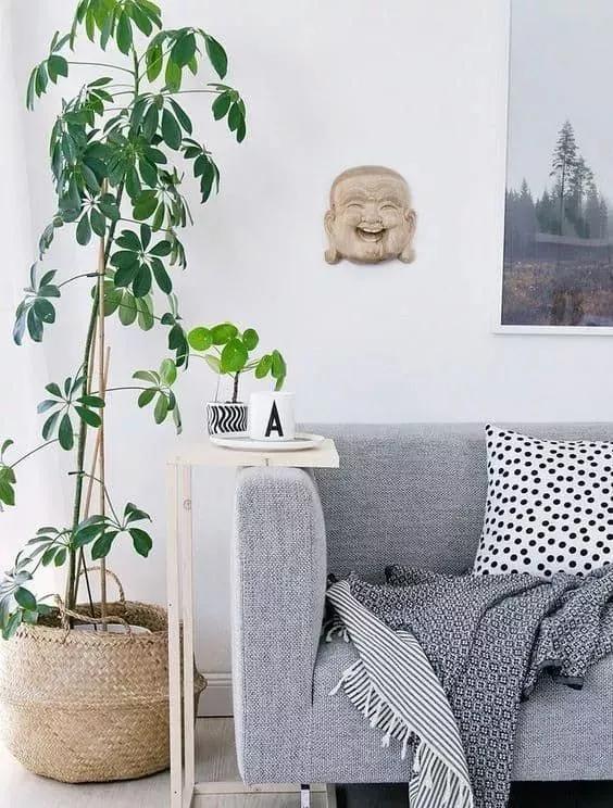 1575599797313631.jpg 7.jpg