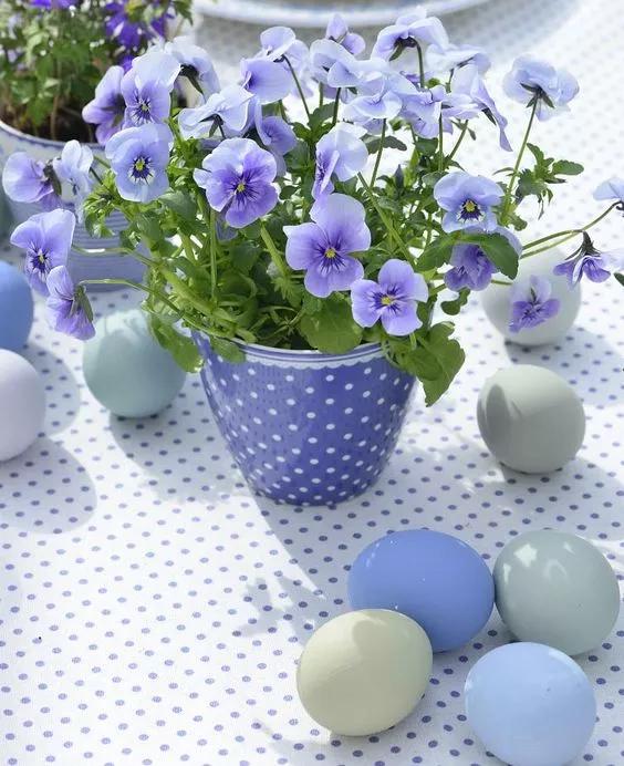 1575599811463104.jpg 10.jpg