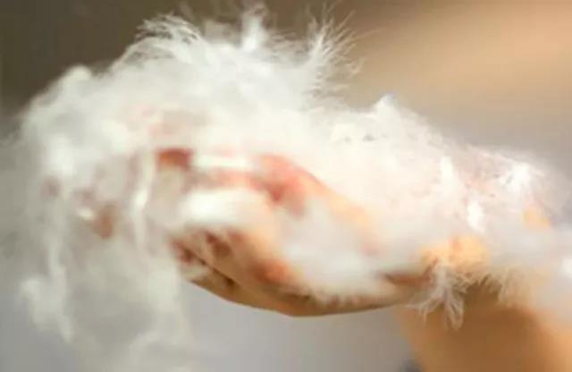 1575600583316910.jpg 3.jpg